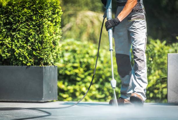 Best Residential Pressure Washing in Sardis, MS